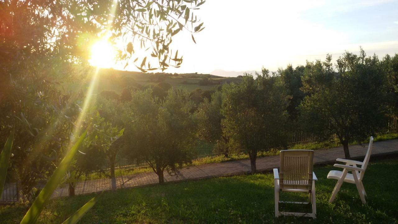 Paoma Trentova *